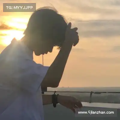万桢翼